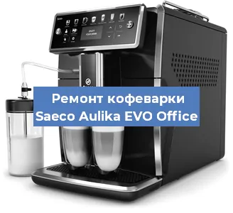 Чистка кофемашины Saeco Aulika EVO Office от накипи в Екатеринбурге